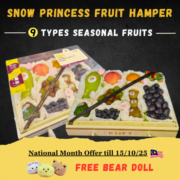 snow_princess_2077616427